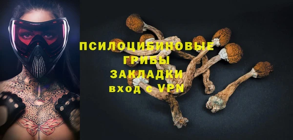 a pvp Каменногорск