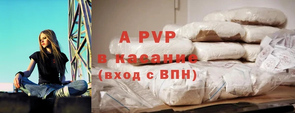 стафф Каменка