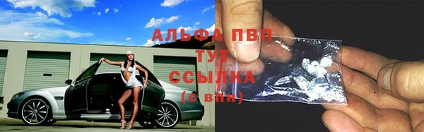 a pvp Каменногорск