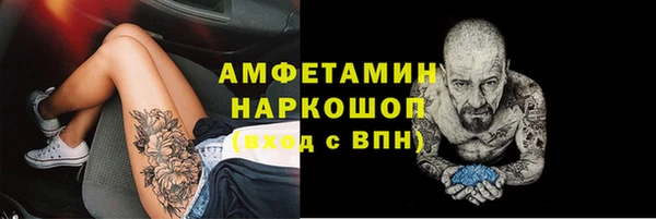стафф Каменка