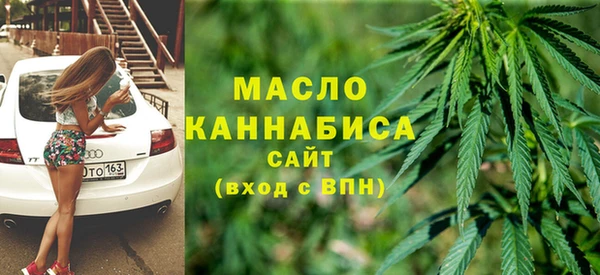 стафф Каменка