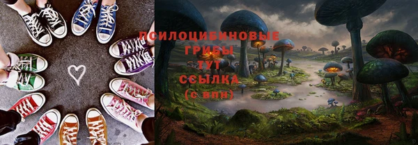 стафф Каменка