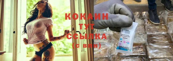 стафф Каменка
