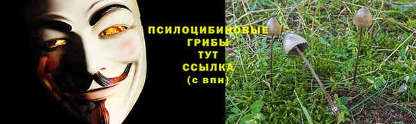 стафф Каменка